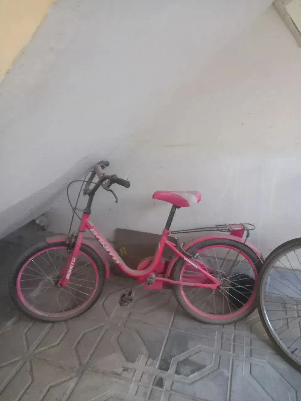 ۲ عدد دوچرخه در حد نو،به صورت جداهم فرخته میشود|دوچرخه، اسکیت، اسکوتر|بجنورد, |دیوار