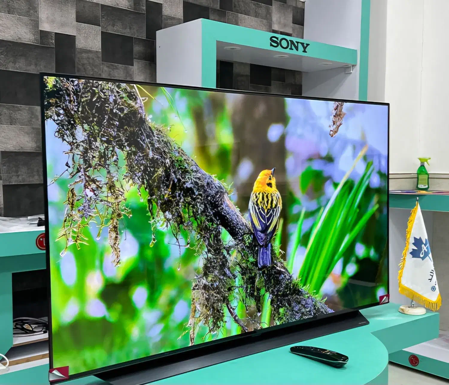 تلویزیون ۵۵الجی|تلویزیون و پروژکتور|بیرجند, |دیوار