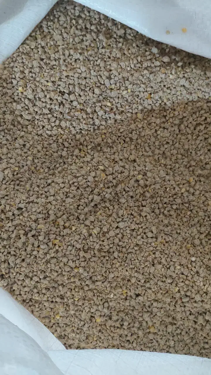 دان مرغ گوشتی و تخم گذارصنعتی(ماهی.گاو.گوسفند)|حیوانات مزرعه|رشت, احمد گوراب|دیوار