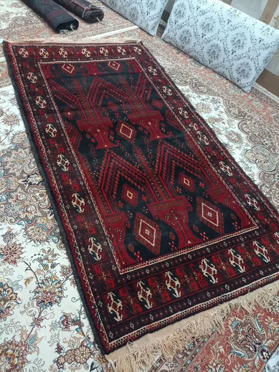 قالی دستبافت|فرش|زابل, |دیوار