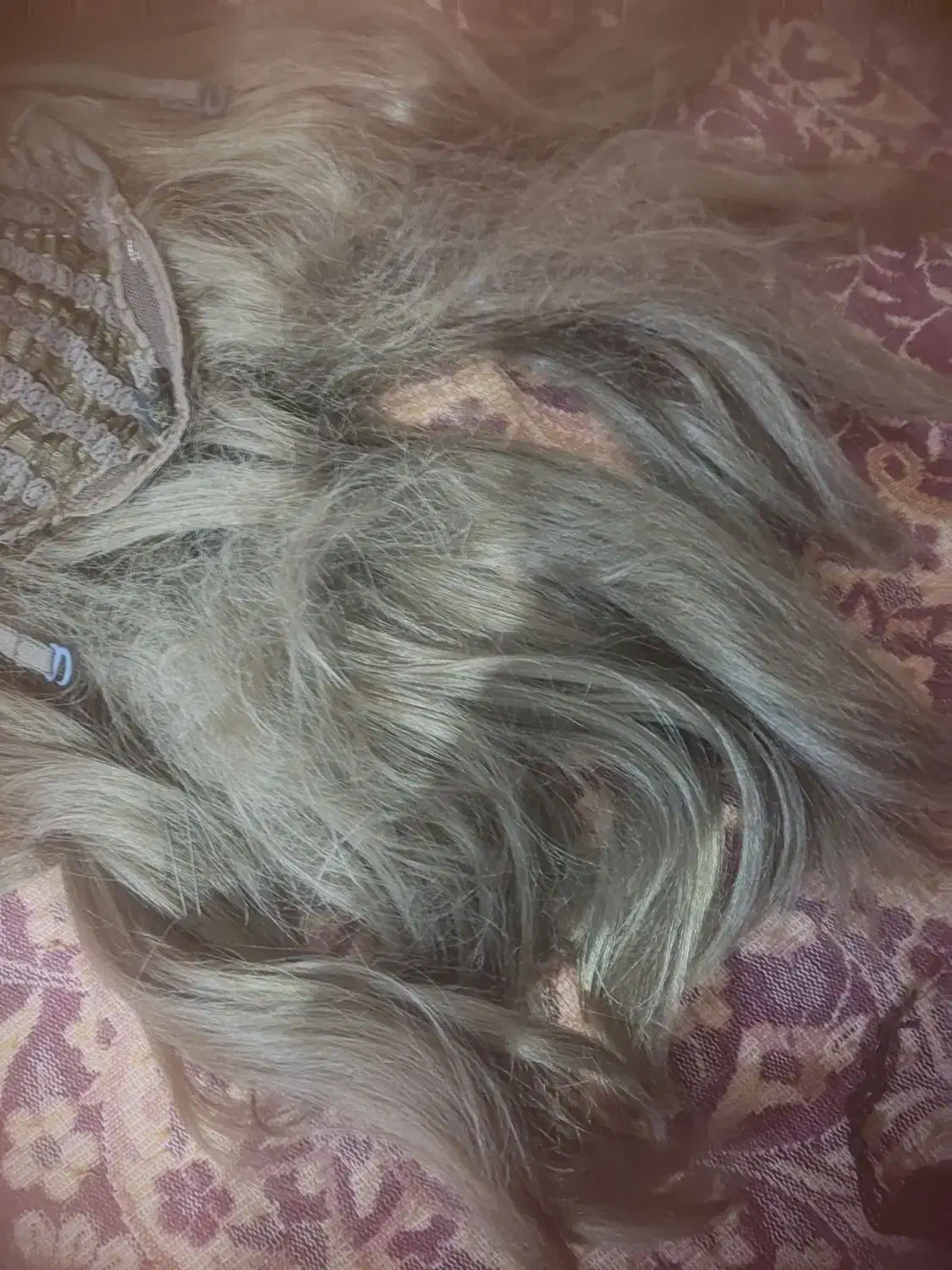 کلاه گیس زنانه|آرایشی، بهداشتی، درمانی|زابل, |دیوار