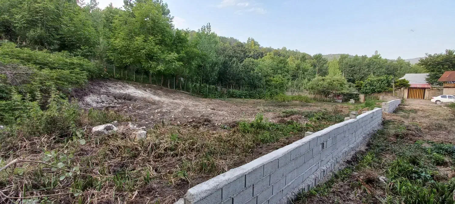 زمین ۲۵۰ متری داخل بافت مسکونی لفور پروانه در دست|فروش زمین و ملک کلنگی|آلاشت, |دیوار