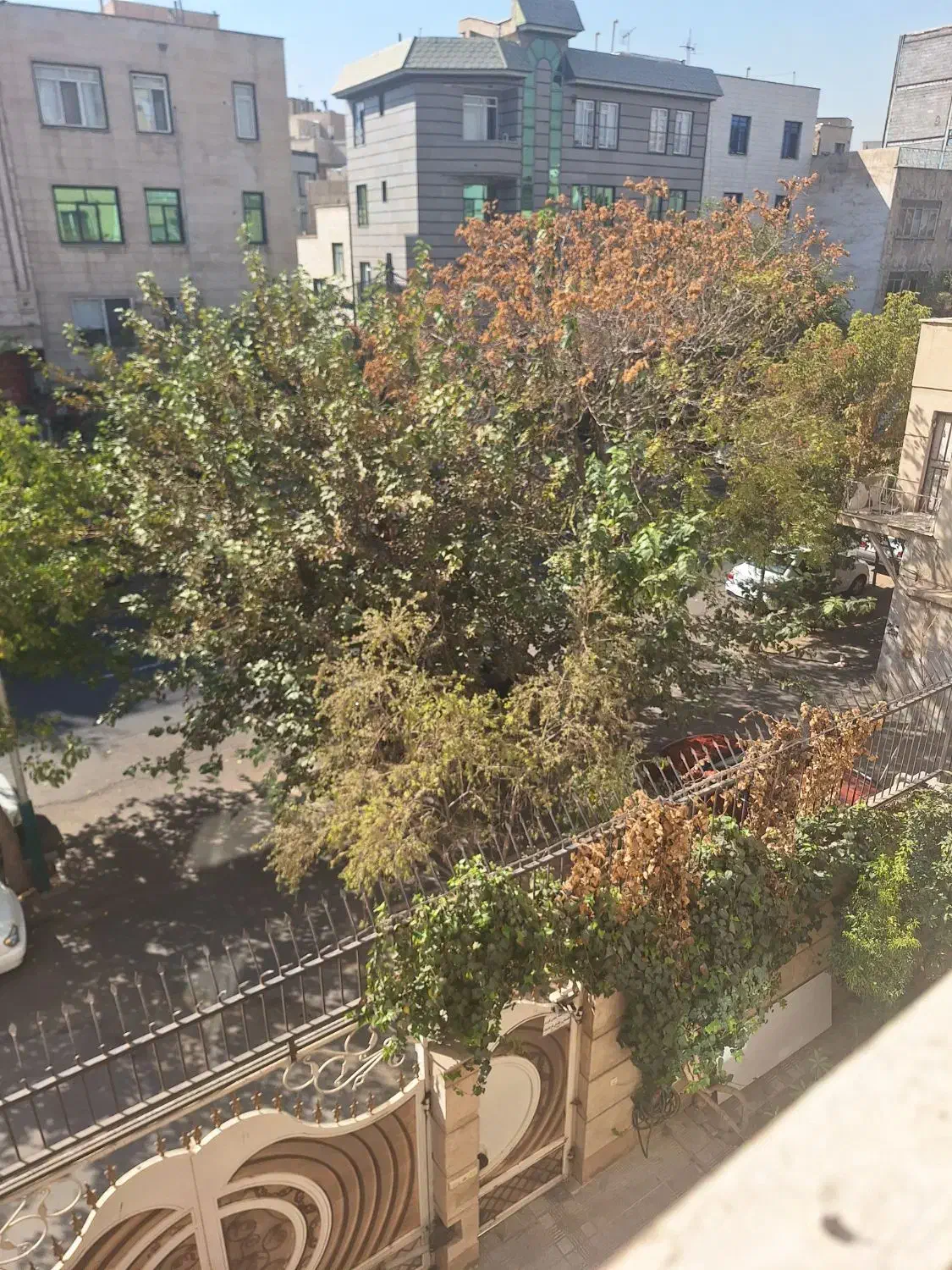 127متر کاشان نواب اسکندری کارگر|فروش آپارتمان|تهران, حر|دیوار