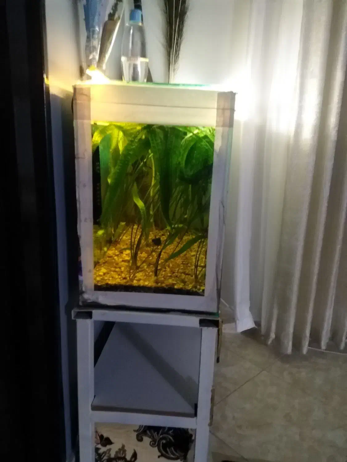 فروش آکواریوم 1متردر40در60|ماهی|آمل, |دیوار