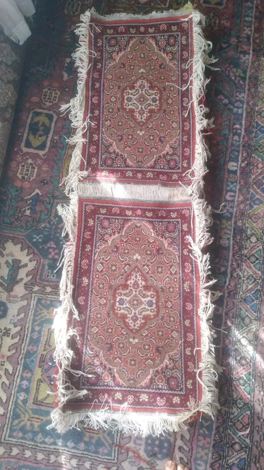 پادری ریزماهی دست بافت|فرش|اردبیل, |دیوار