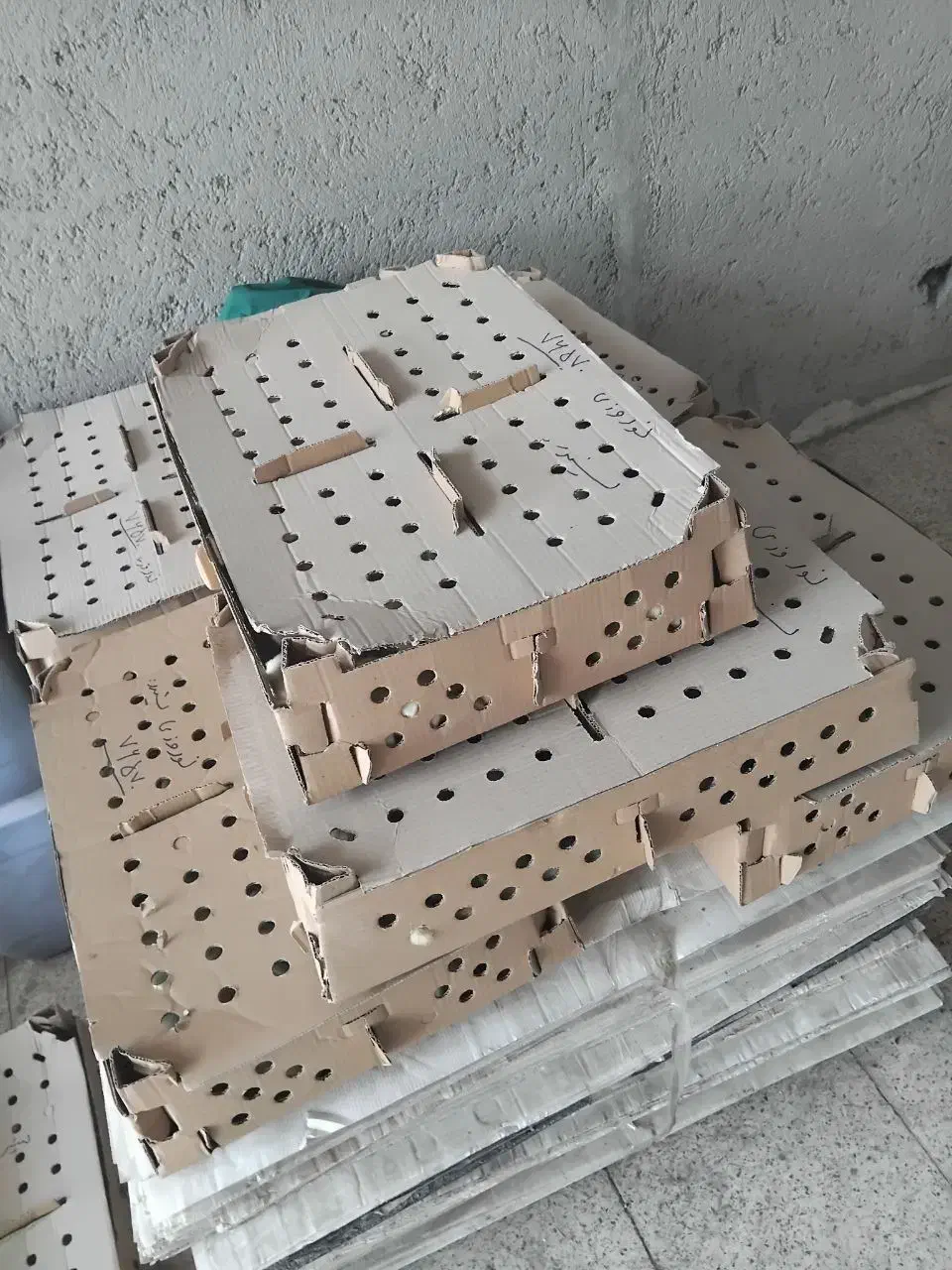 جوجه و نیمچه بوقلمون مرغ/خروس/گوشتی وبومی/تخممرغ|حیوانات مزرعه|تهران, آبشار|دیوار