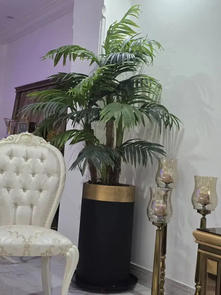 درختچه مصنوعی کنتیا سه تنه به همراه گلدان وارداتی|گل مصنوعی|بابل, |دیوار