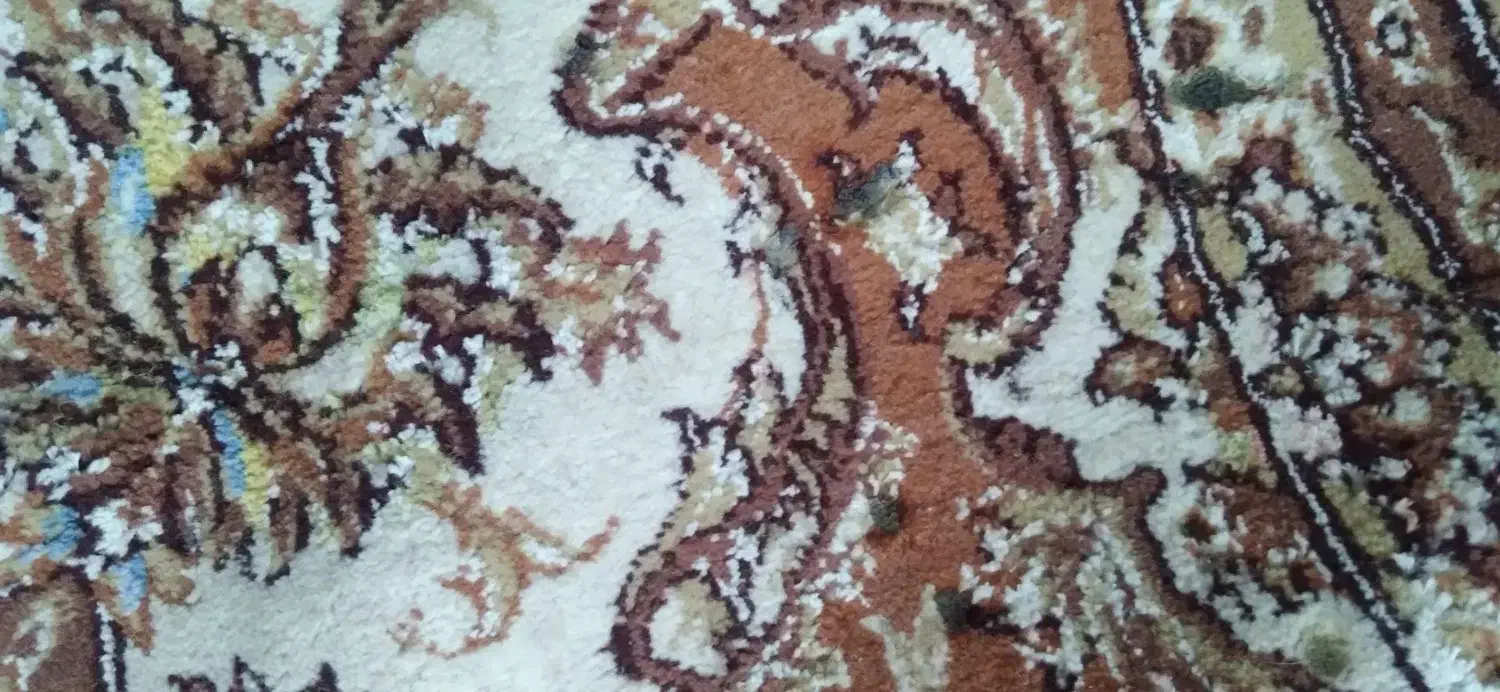 فرش ۱۲متری|فرش|جغتای, |دیوار