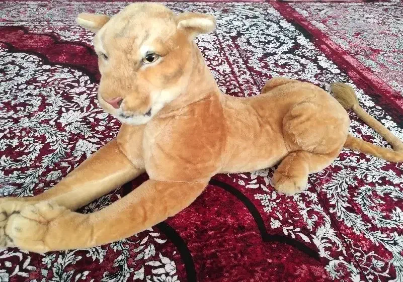 عروسک شیر|اسباب‌‌بازی|بوکان, |دیوار