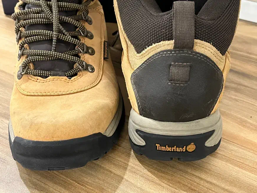 کتونی|کیف، کفش، کمربند|تهران, پرستار|دیوار