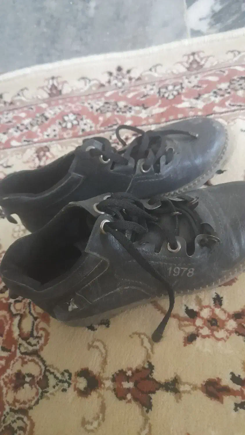 نیم پوت|کیف، کفش، کمربند|رباطکریم, رباطکریم|دیوار