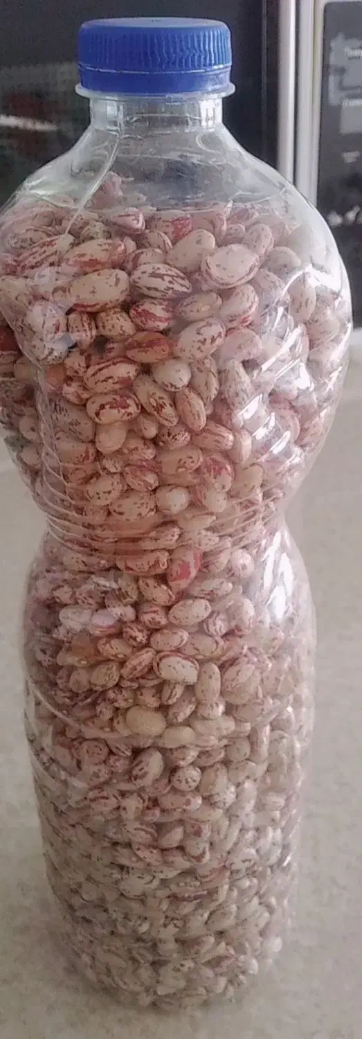 لوبیا|خوردنی و آشامیدنی|اهر, |دیوار