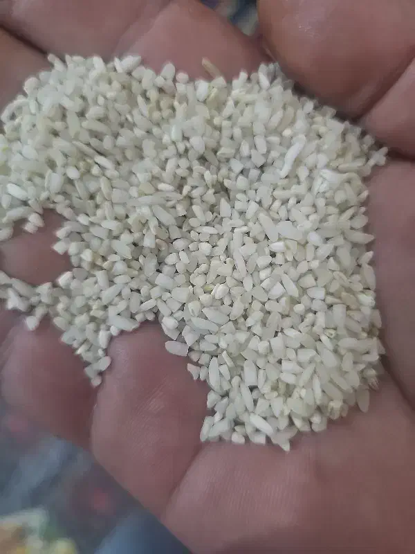 برنج|خوردنی و آشامیدنی|شادگان, |دیوار