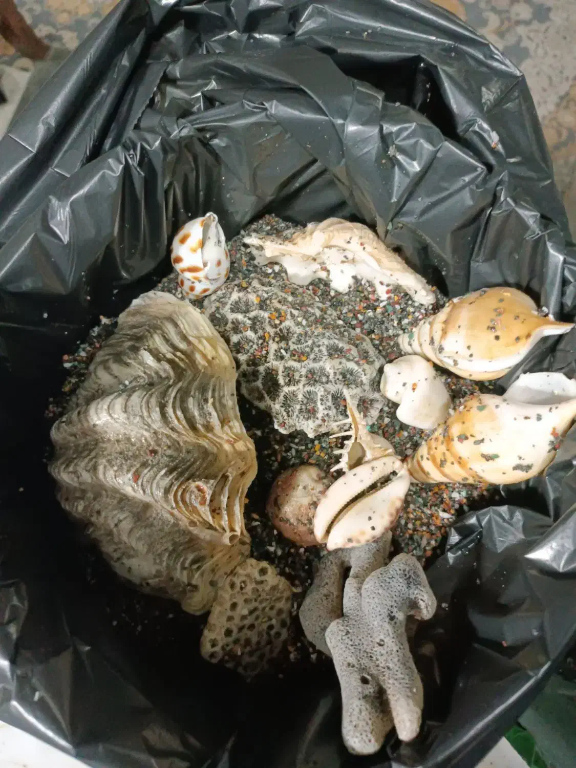 اکواریم|ماهی|نیشابور, ریوند|دیوار