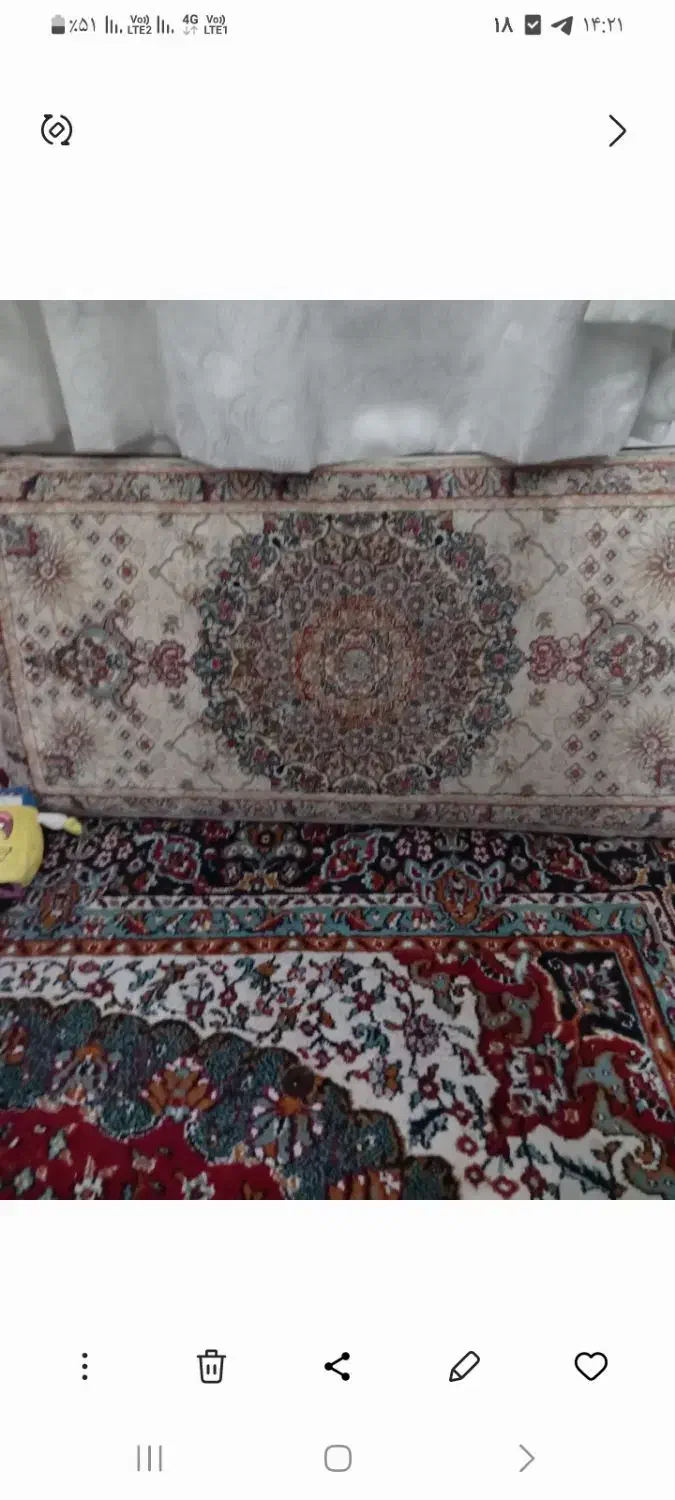 پشتی|پشتی|مشهد, رده|دیوار