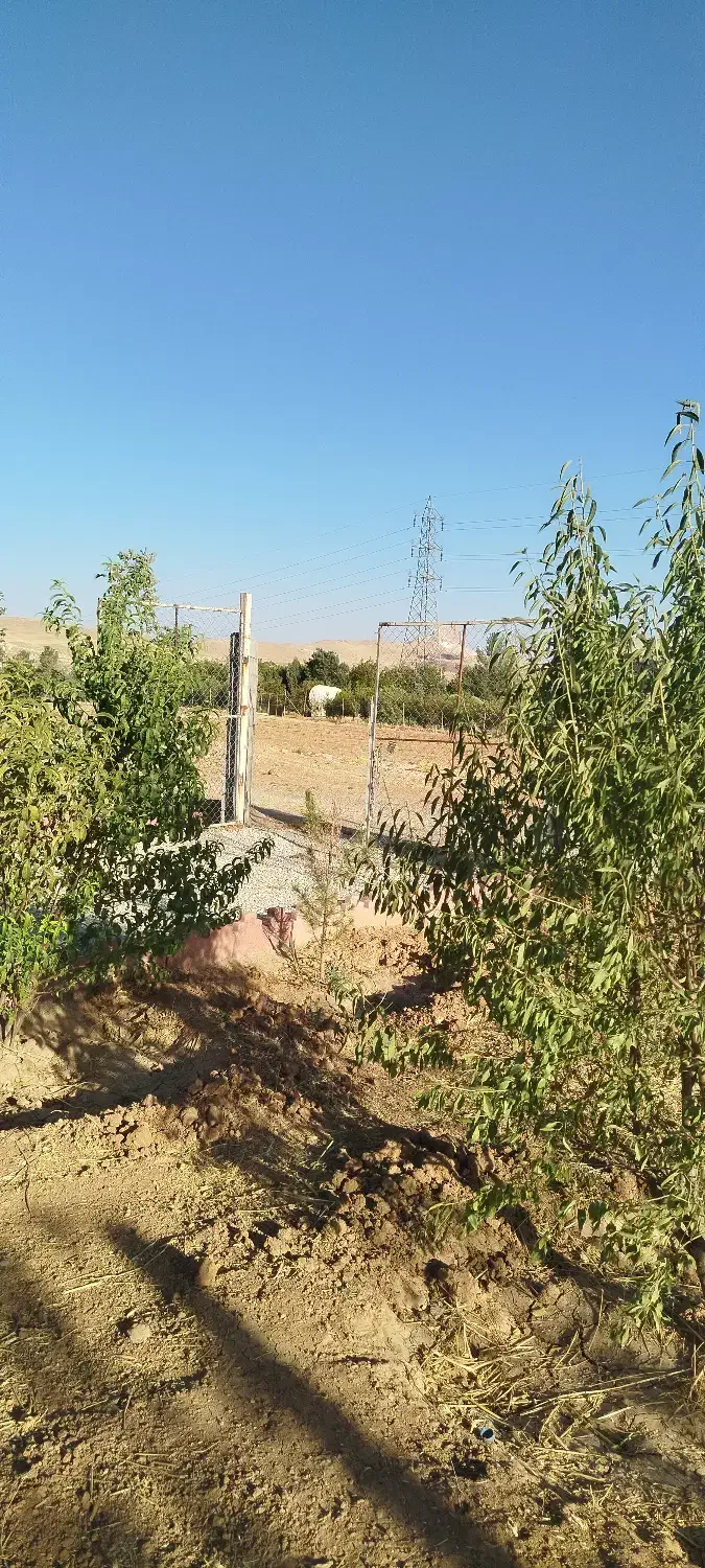 باغ ۱۰۰۰ متری جاده بیستون|فروش زمین و ملک کلنگی|کرمانشاه, |دیوار