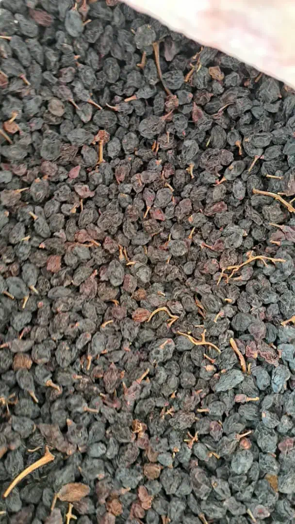 کشمش و مویز|خوردنی و آشامیدنی|یزد, |دیوار