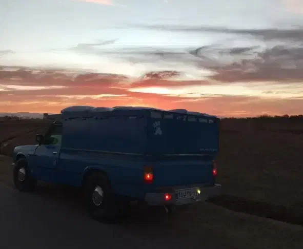 نیسان وانت بار|خدمات حمل و نقل|نیشابور, شهرک رضوی|دیوار