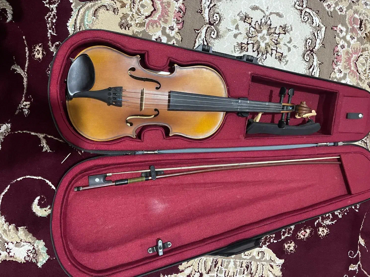 ویالن|ویولن|جهرم, |دیوار