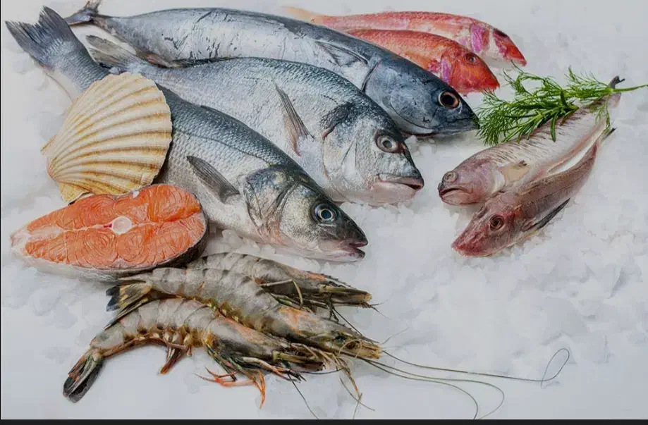 فروش میگو و انواع ماهی از جنوب|ماهی|تهران, قیطریه|دیوار