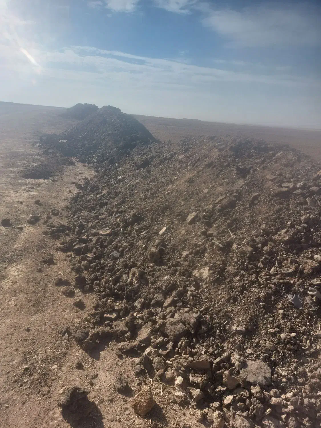 کود دامی خشک|گل و گیاه طبیعی|سردرود, |دیوار