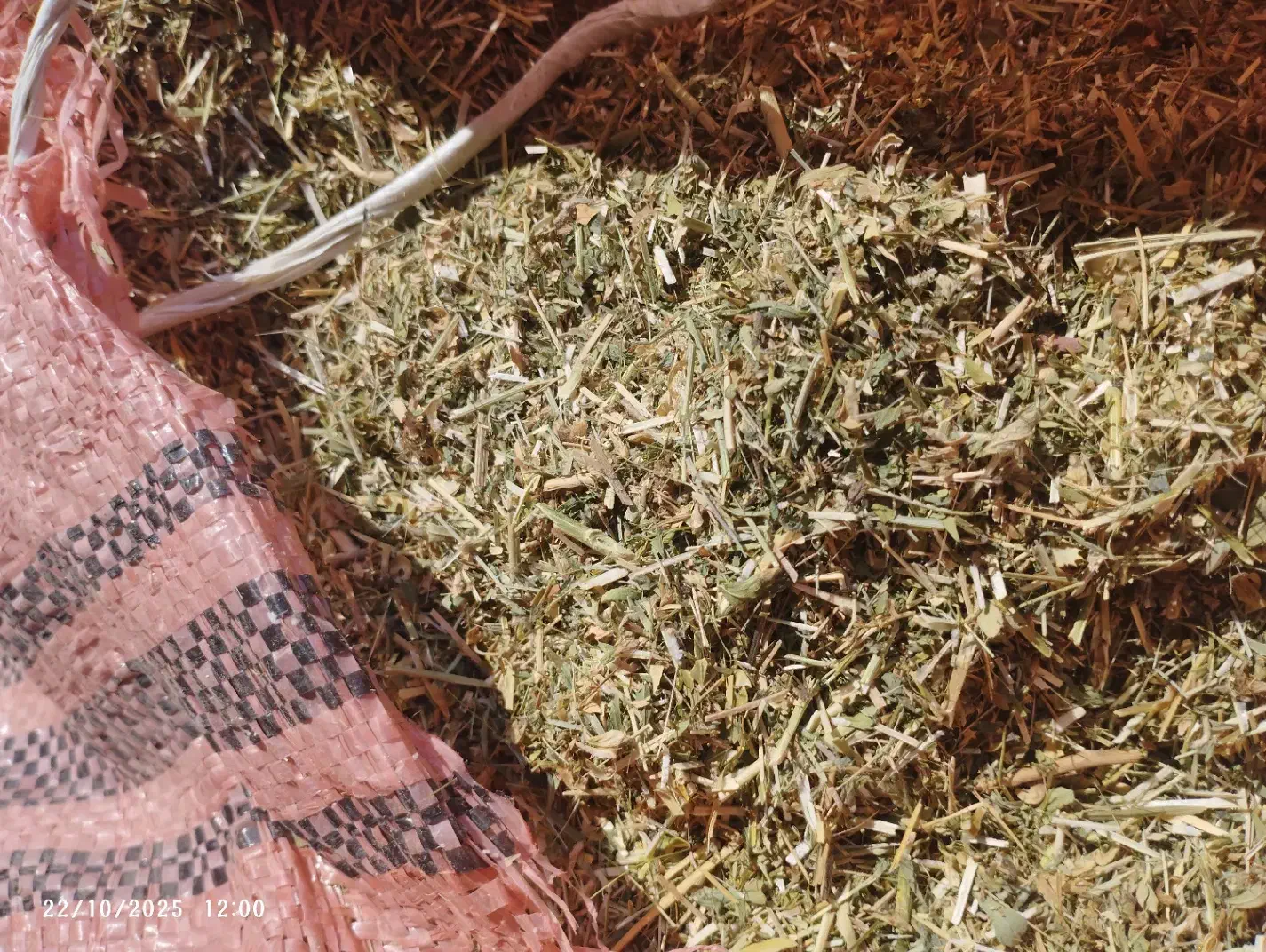 یونجه|خدمات باغبانی و درختکاری|برازجان, |دیوار