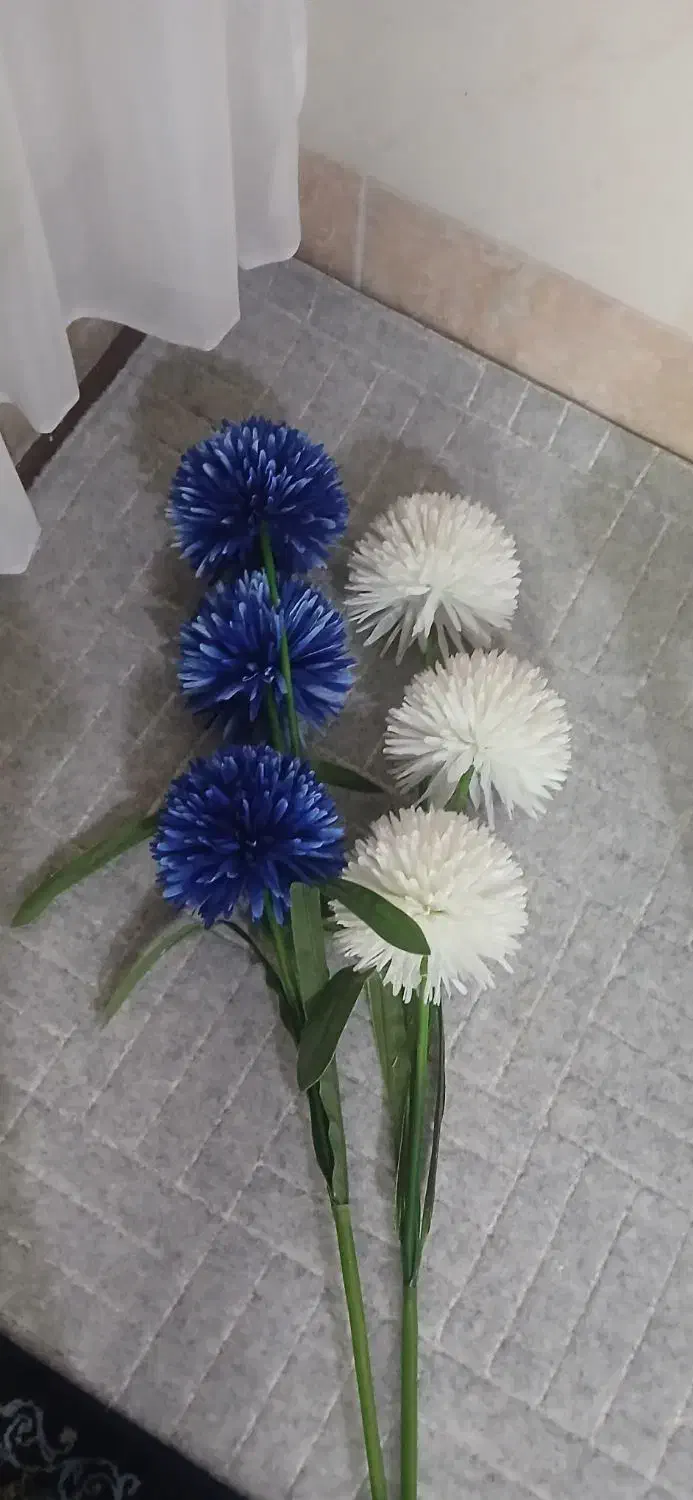 گل داوودی|گل مصنوعی|قم, شهید صیاد شیرازی|دیوار