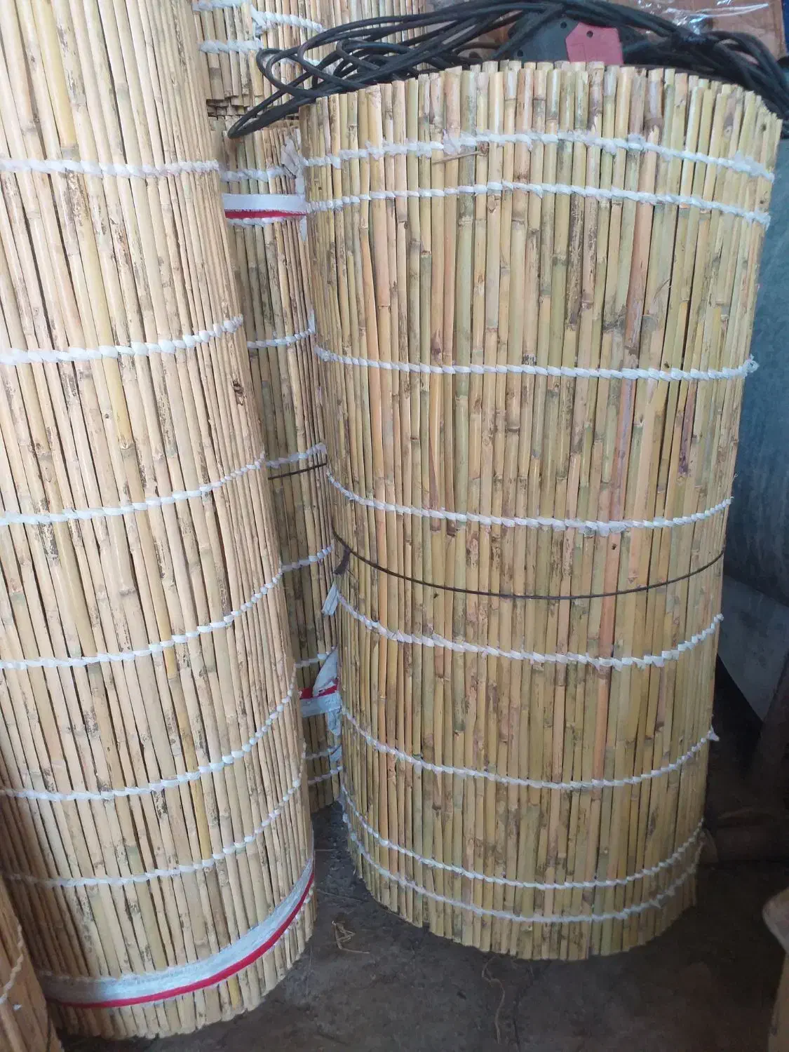 حصیربافی سنتی|صنایع دستی و سایر لوازم تزئینی|گنبد کاووس, |دیوار