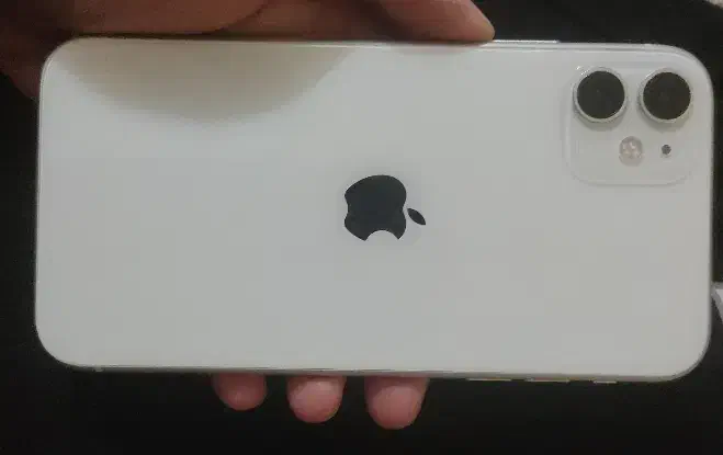 Iphone 11 Normal|موبایل|پاکدشت, پاکدشت (مامازند)|دیوار