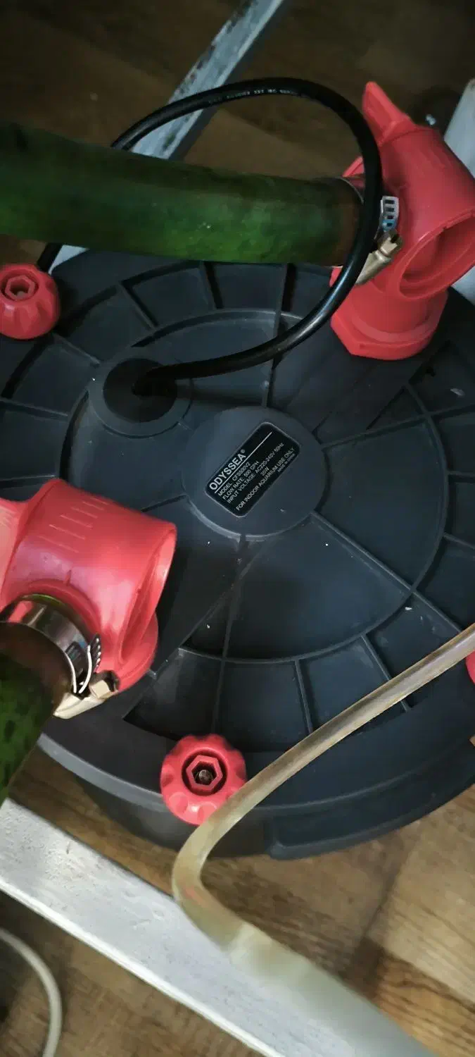 آکواریوم ۱۰۰ در ۱۰۰ در ۵۰ با فیلتر سطلی|ماهی|خرم‌آباد (تنکابن), |دیوار