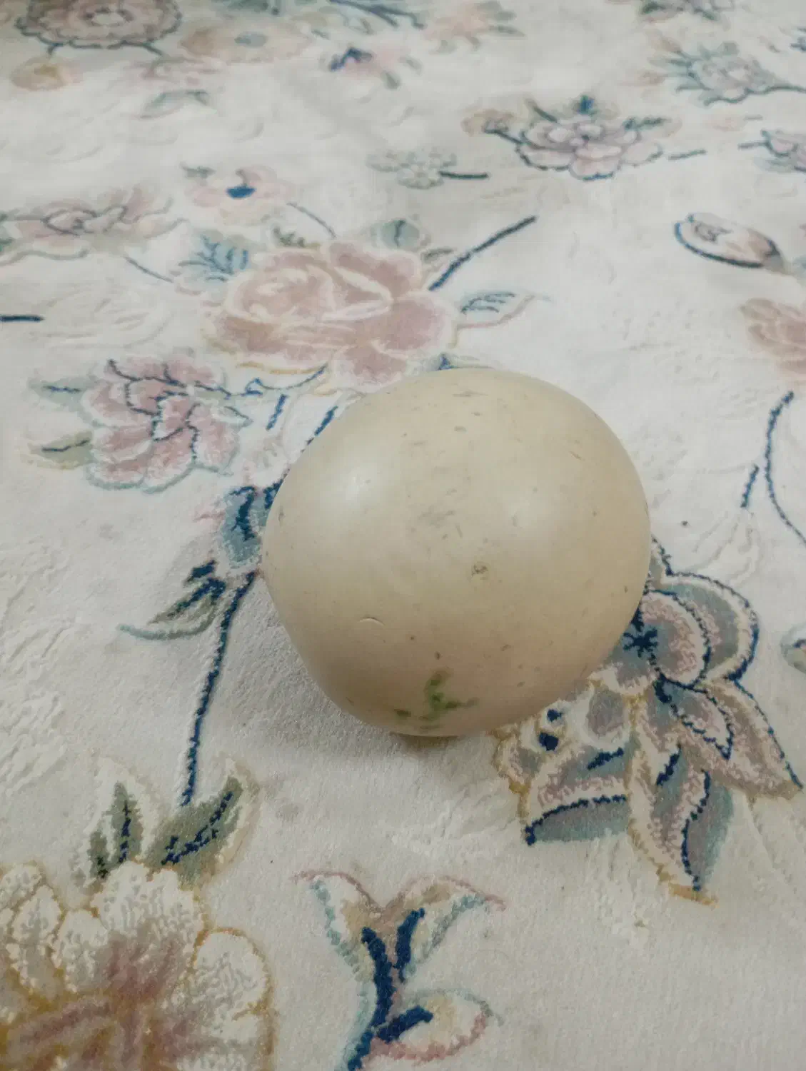 سنگ الماس|جواهرات|مشهد, زیبا شهر|دیوار