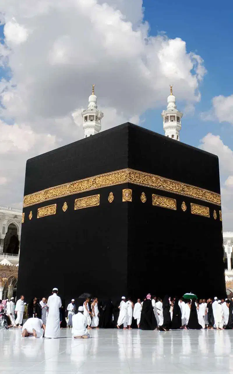 فروش فیش حج عمره مفرده|تور و چارتر|فردوس (خراسان), |دیوار