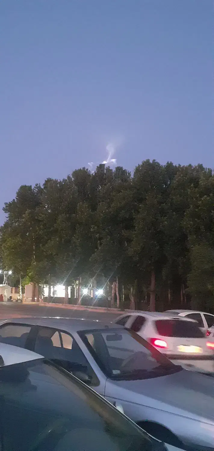 خرید انواع چوب|خدمات باغبانی و درختکاری|نهاوند, |دیوار