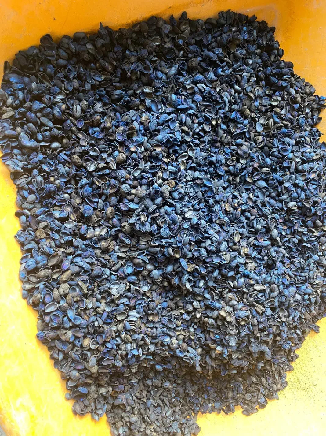 کربن پسته(گرما دیده بالا،هفت رنگ)|عمده‌فروشی|تهران, شهرک آتی شهر|دیوار