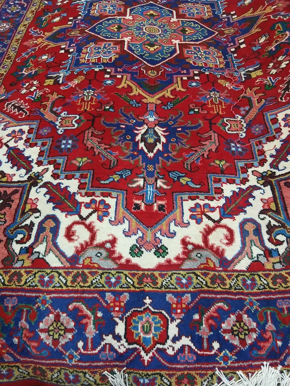 ۶ متری جفت|فرش|میانه, |دیوار