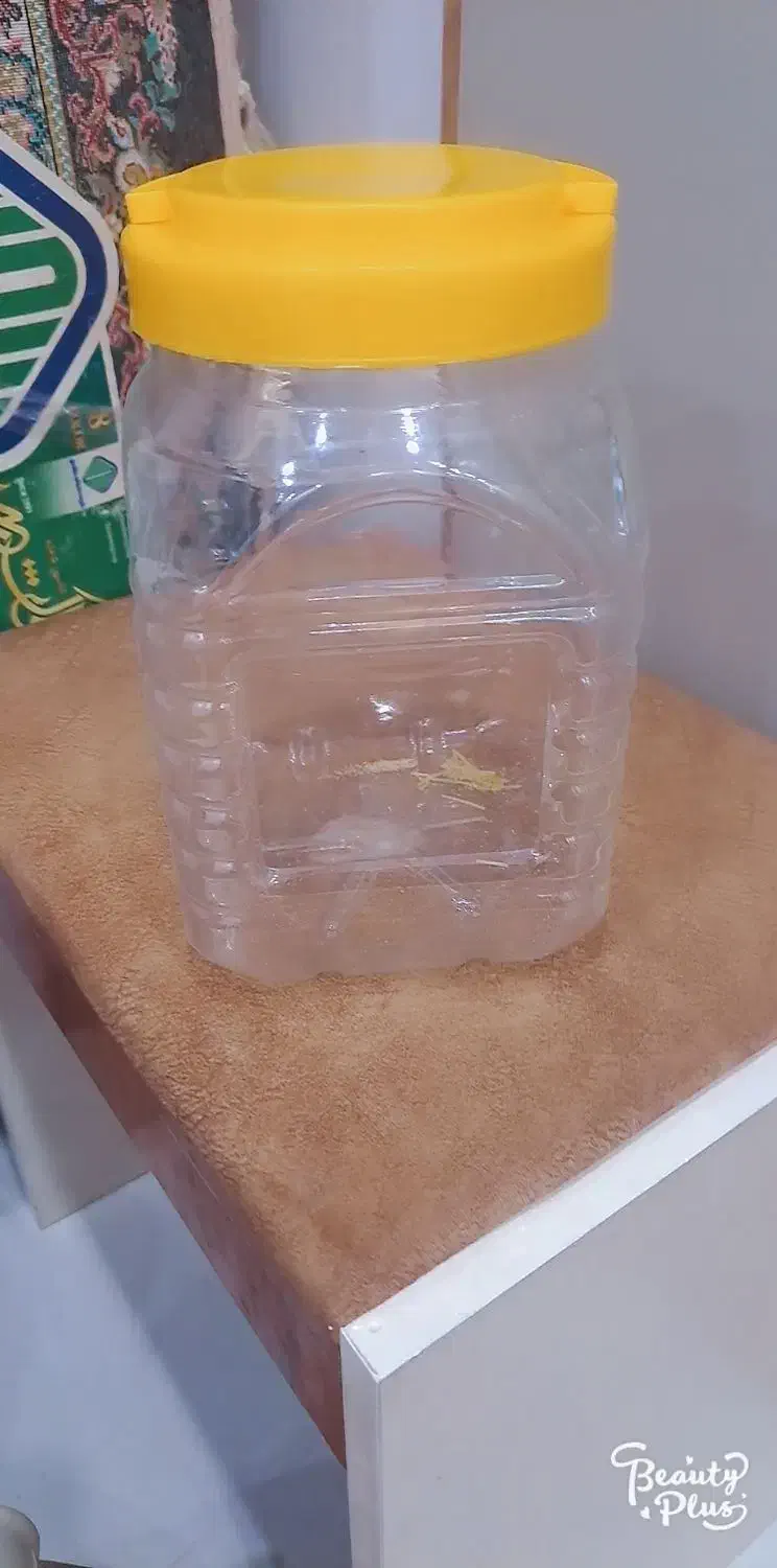 بانکه پلاستکی هشت عدد|ظروف نگهدارنده، پلاستیکی، یک‌بارمصرف|همدان, |دیوار