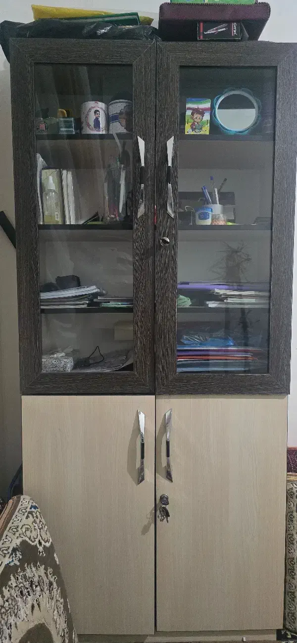 جا کتابی|کتابخانه، شلف، قفسه‌های دیواری|سبزوار, توحیدشهر|دیوار