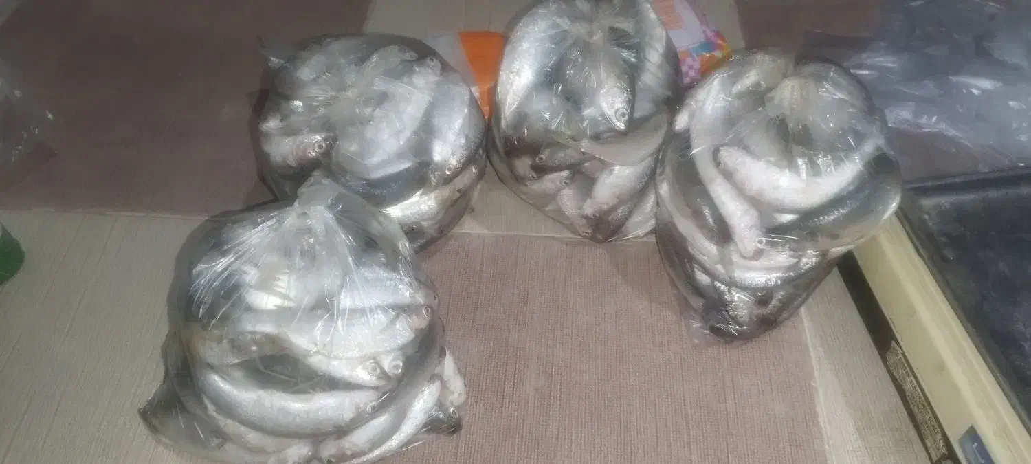 ماهی بیا|ماهی|آبپخش, |دیوار