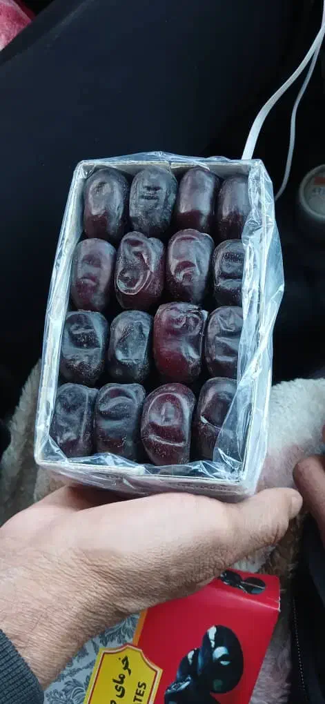 انواع خرما و کشمش|خوردنی و آشامیدنی|بجنورد, |دیوار