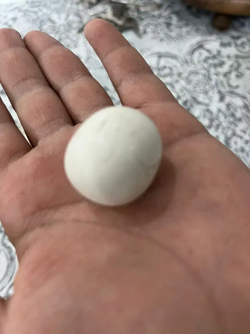 سنگ آسیاب اصلی|کلکسیون اشیاء عتیقه|گرگان, |دیوار