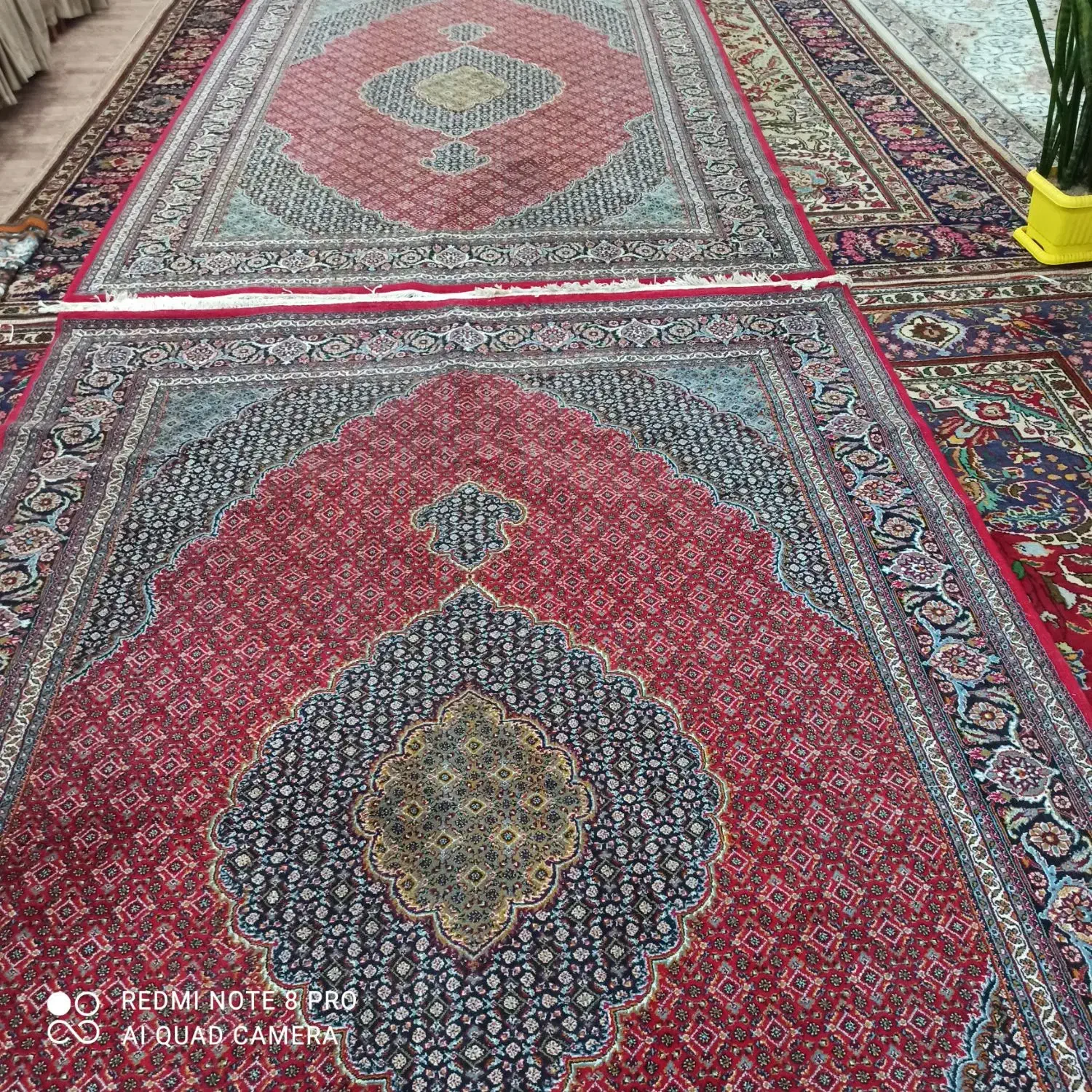 فرش ماهی|فرش|ارومیه, |دیوار