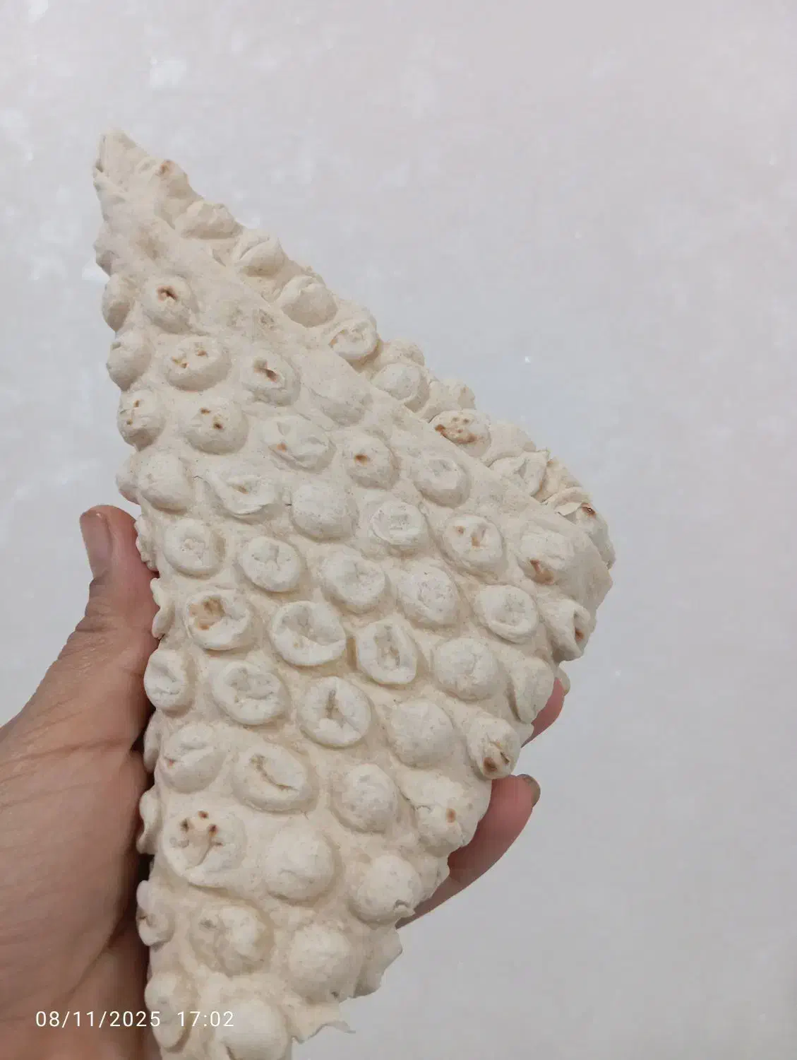 برنج سرلاشه و نیمدانه و سمبوسه تازه|خوردنی و آشامیدنی|مشهد, ابوذر|دیوار