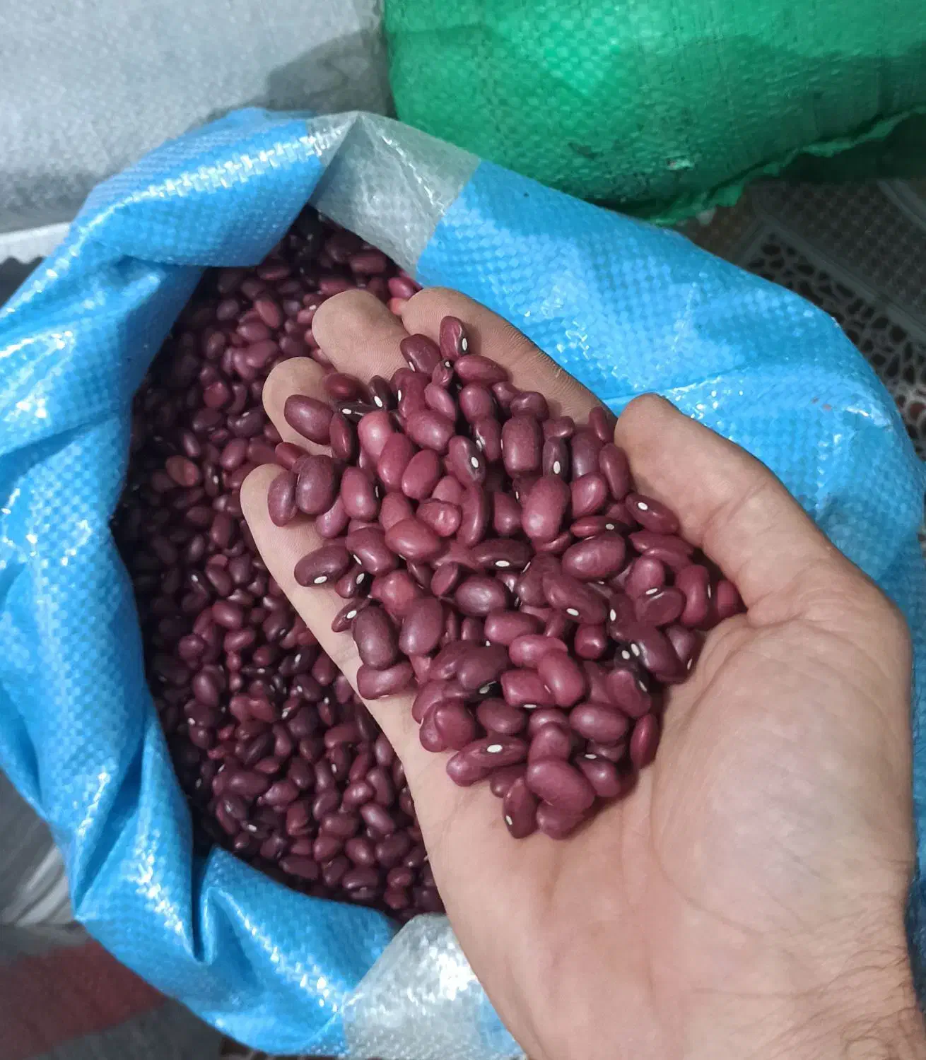 گران نخرید/ لوبیا عدس لپه نخود جو گردو عرق شیره رب|خوردنی و آشامیدنی|بیرجند, |دیوار