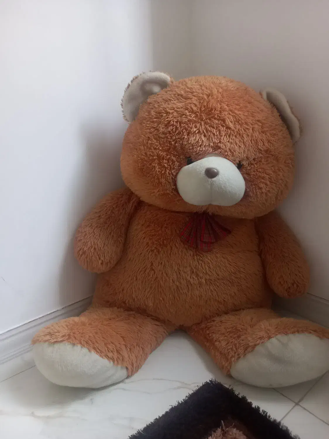 عروسک خرسی|اسباب‌‌بازی|سرعین, |دیوار