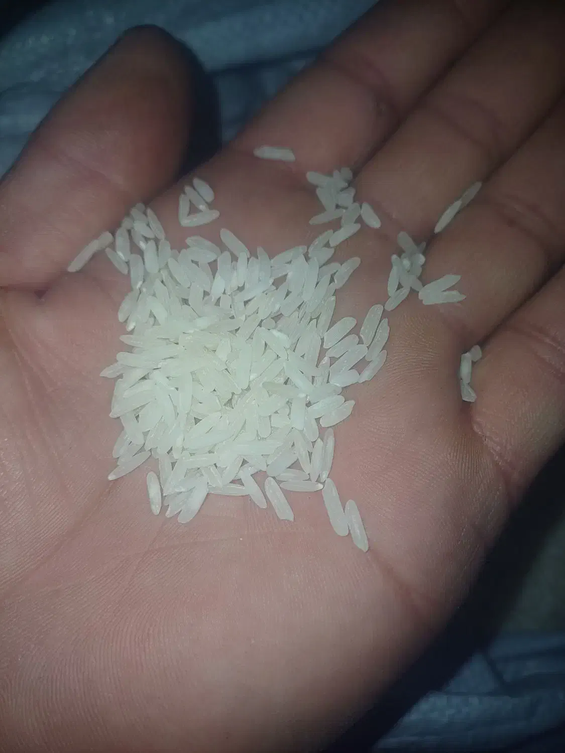 برنج تایلندی|خوردنی و آشامیدنی|دلیجان, |دیوار