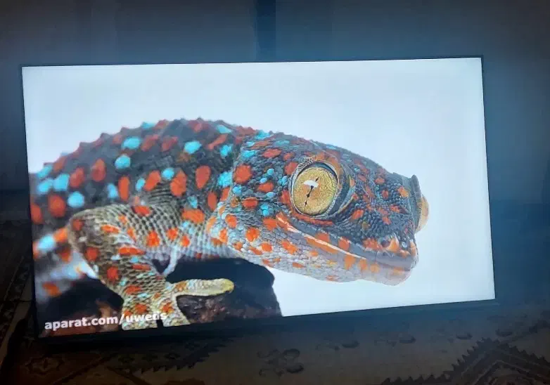 تلویزیون32اینچ هایسنس دیجیتال سرخوداکبند|تلویزیون و پروژکتور|اهواز, پردیس دو|دیوار