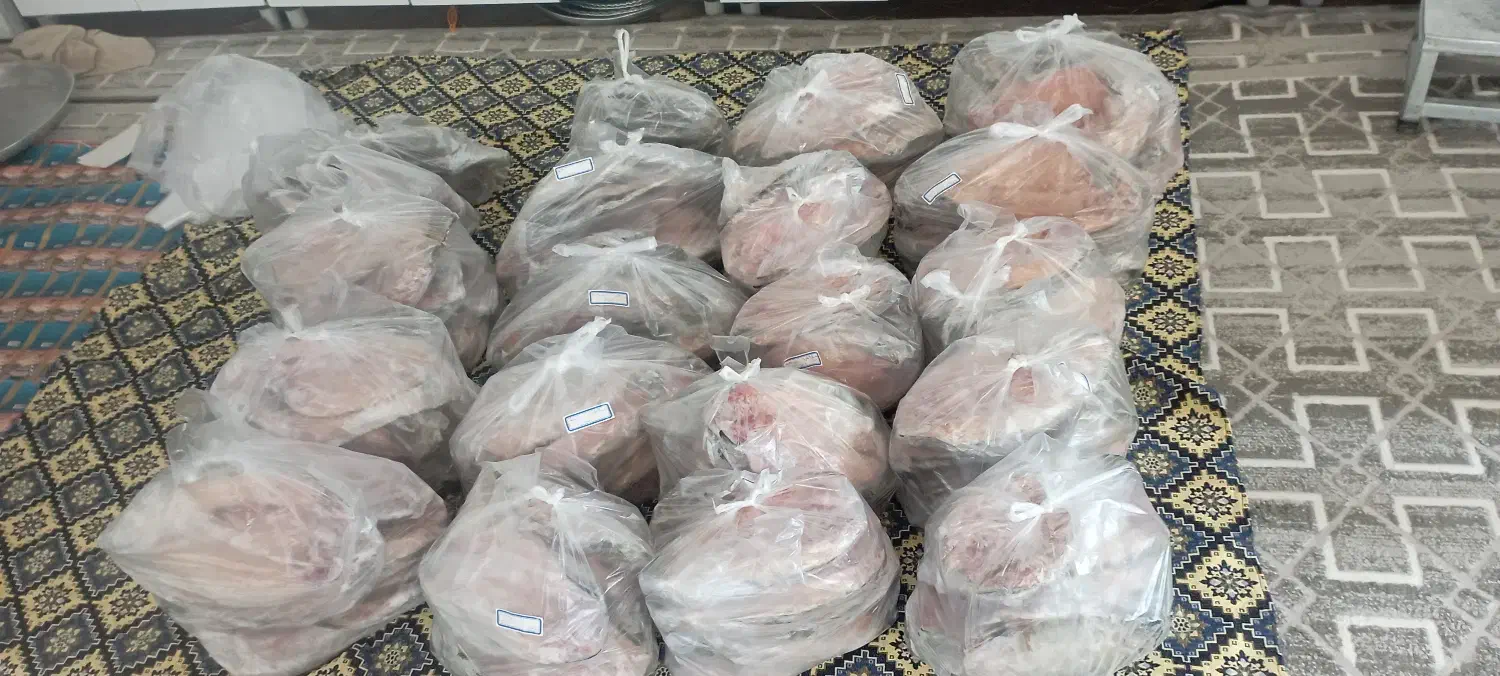 ماهی قزل آلا|خوردنی و آشامیدنی|دالاهو, |دیوار