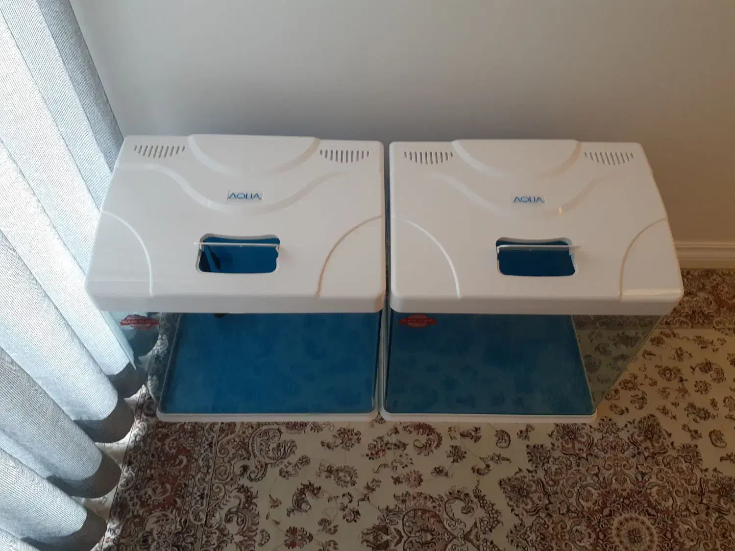 اکواریوم شرکتی آکوآBT500 مکانیزه|ماهی|همدان, |دیوار