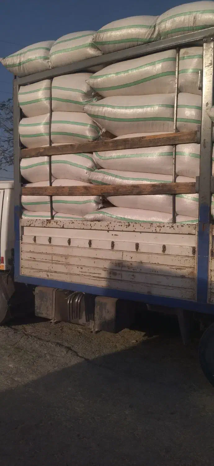 کاه ده تن داخل قروه|لوازم جانبی حیوانات|قروه, |دیوار