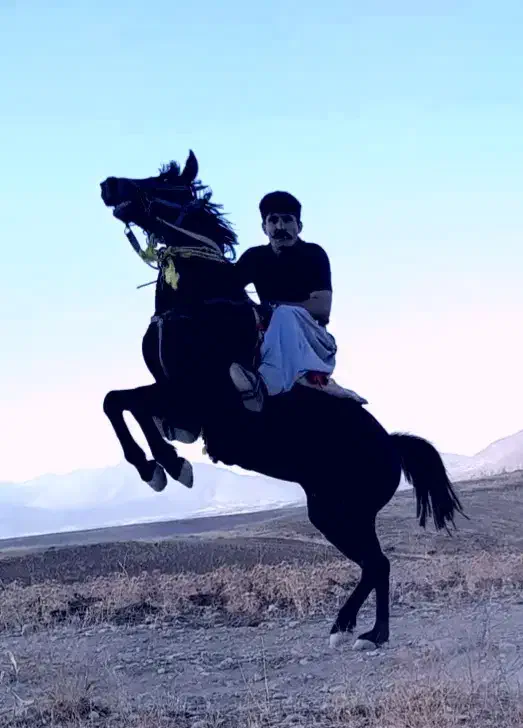 اسب کاسپین|اسب و تجهیزات اسبسواری|نجفآباد, امیرآباد|دیوار